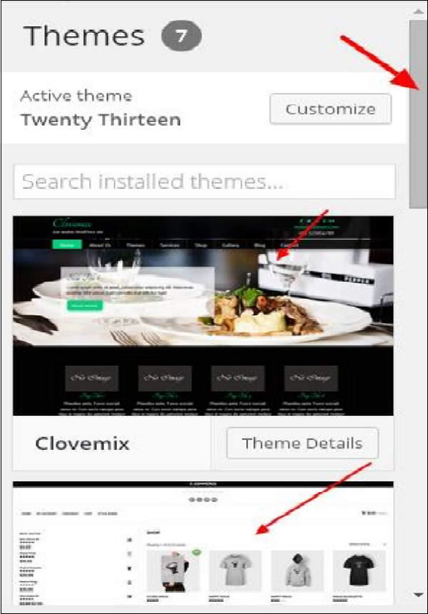 WordPress custom themes