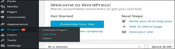 WordPress plug-in customization