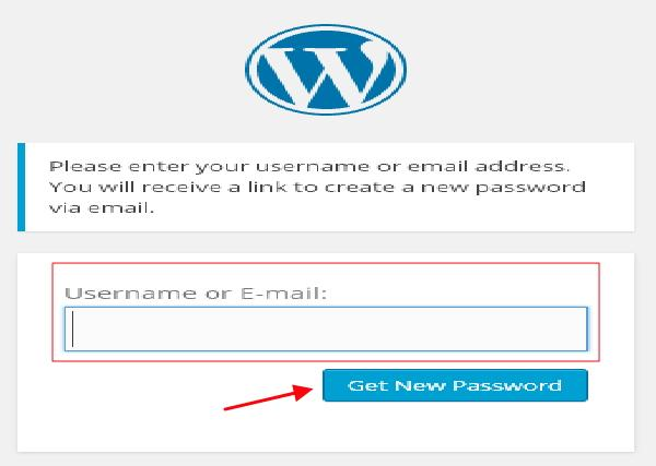 WordPress resets the password
